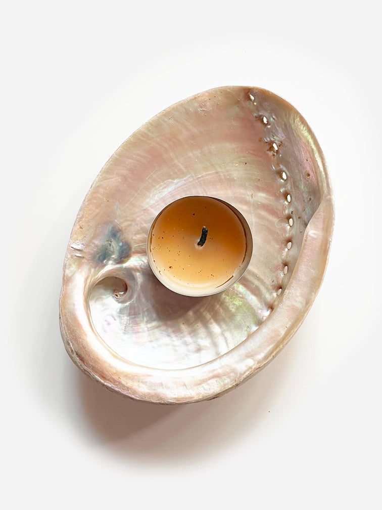 Natural Australian Abalone Shell for Smudging MEDIUM (12cm)