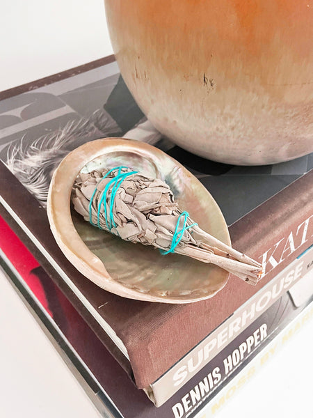 Natural Australian Abalone Shell for Smudging MEDIUM (12cm)