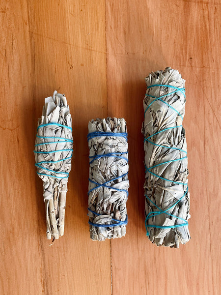Clearing White Sage Smudge Stick • LARGE (15cm)