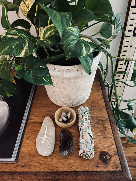 Clearing White Sage Smudge Stick • LARGE (15cm)