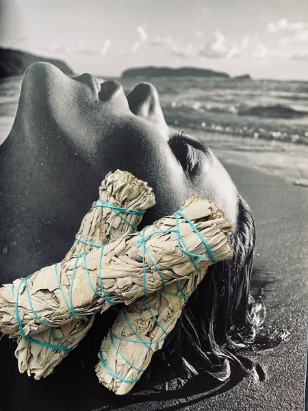 Clearing White Sage Smudge Stick • LARGE (15cm)