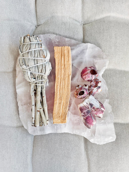 Palo Santo "Holy Wood" Stick (10cm)