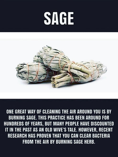 Clearing White Sage Smudge Stick • MEDIUM (11cm)