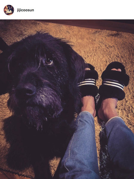 EMU Australia Shearling "Wrenlette" Slides (Black)