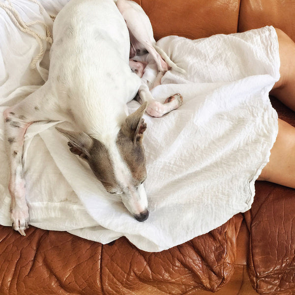 Chowchilla Vintage Indian GYPSET Dress • "White Cotton Voile"